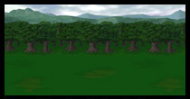 Lion Forest